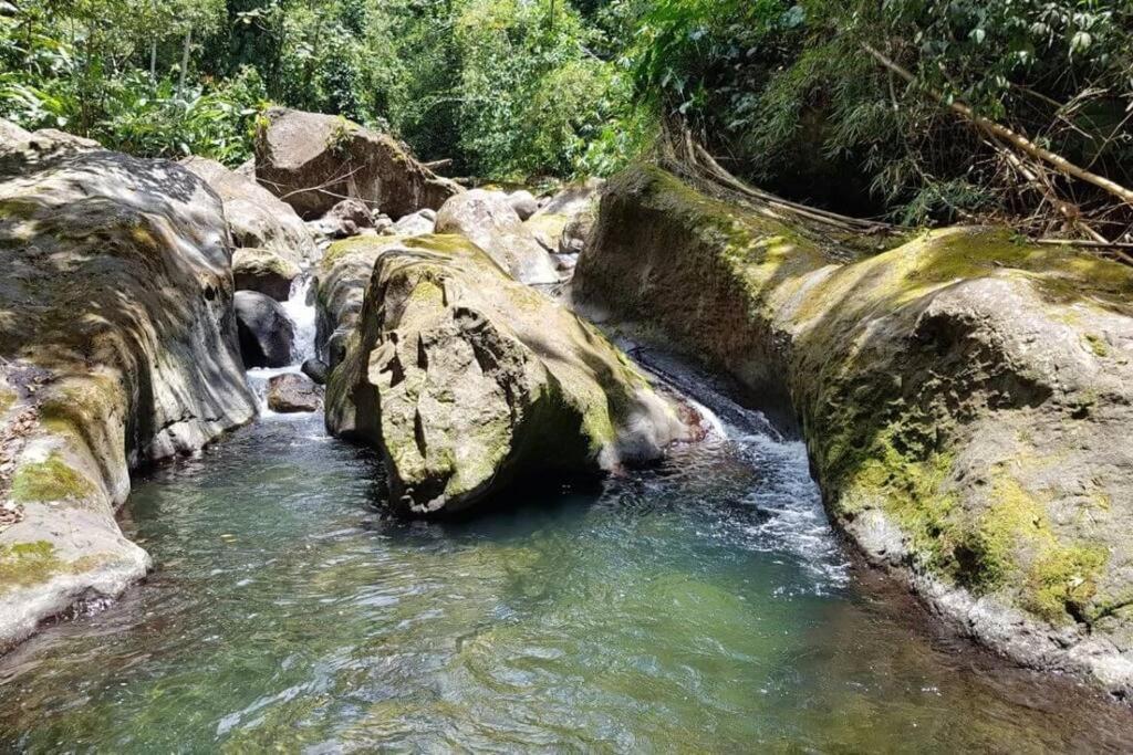 Maison La Voute Plage A 50M Et Riviere A Proximite Vieux-Habitants Buitenkant foto