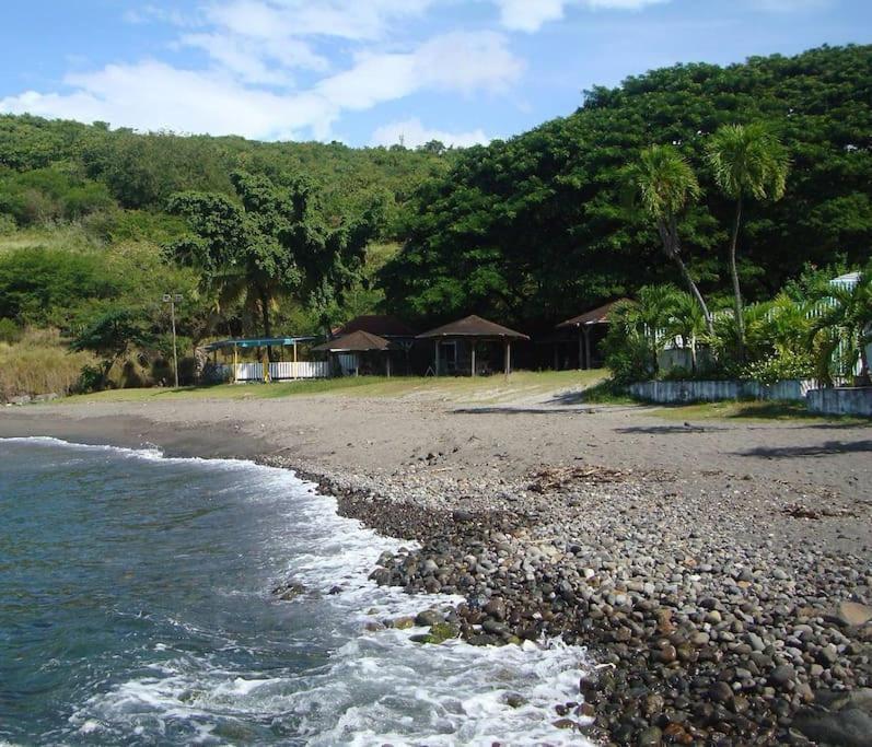 Maison La Voute Plage A 50M Et Riviere A Proximite Vieux-Habitants Buitenkant foto