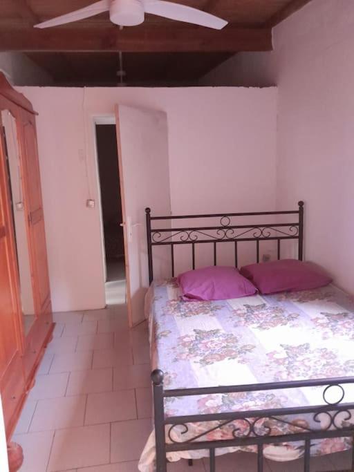 Maison La Voute Plage A 50M Et Riviere A Proximite Vieux-Habitants Buitenkant foto
